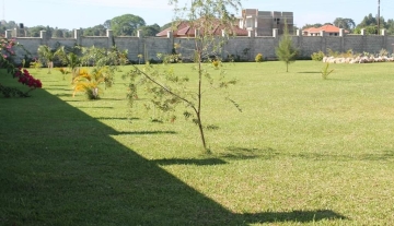 WhatsApp Image 2021-05-05 at 16.11.01.jpeg